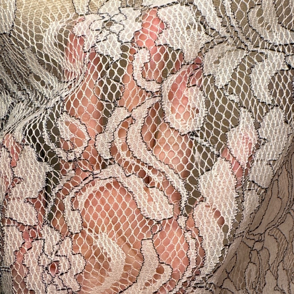 LOFT Cream Lace Blouse - Picture 3 of 16
